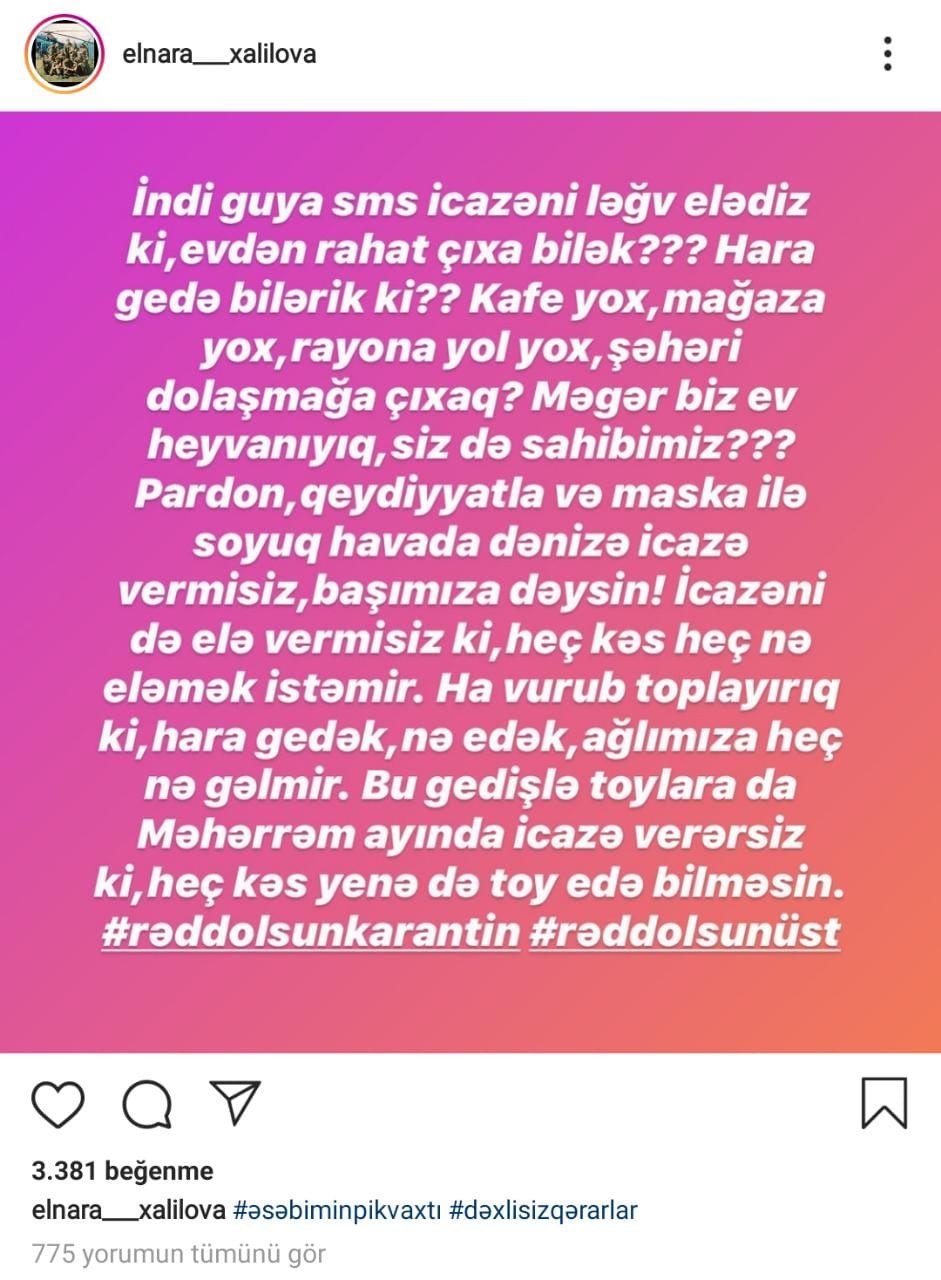 "Biz ev heyvanıyıq, siz də sahibimiz? " - Müğənni Elnarə od püskürdü - FOTO